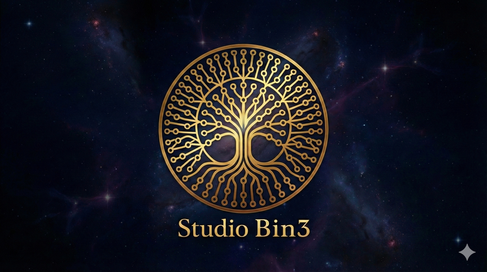 StudioBin3